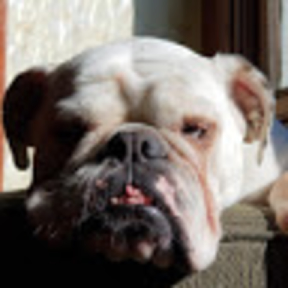 Meet your Posher, Sara